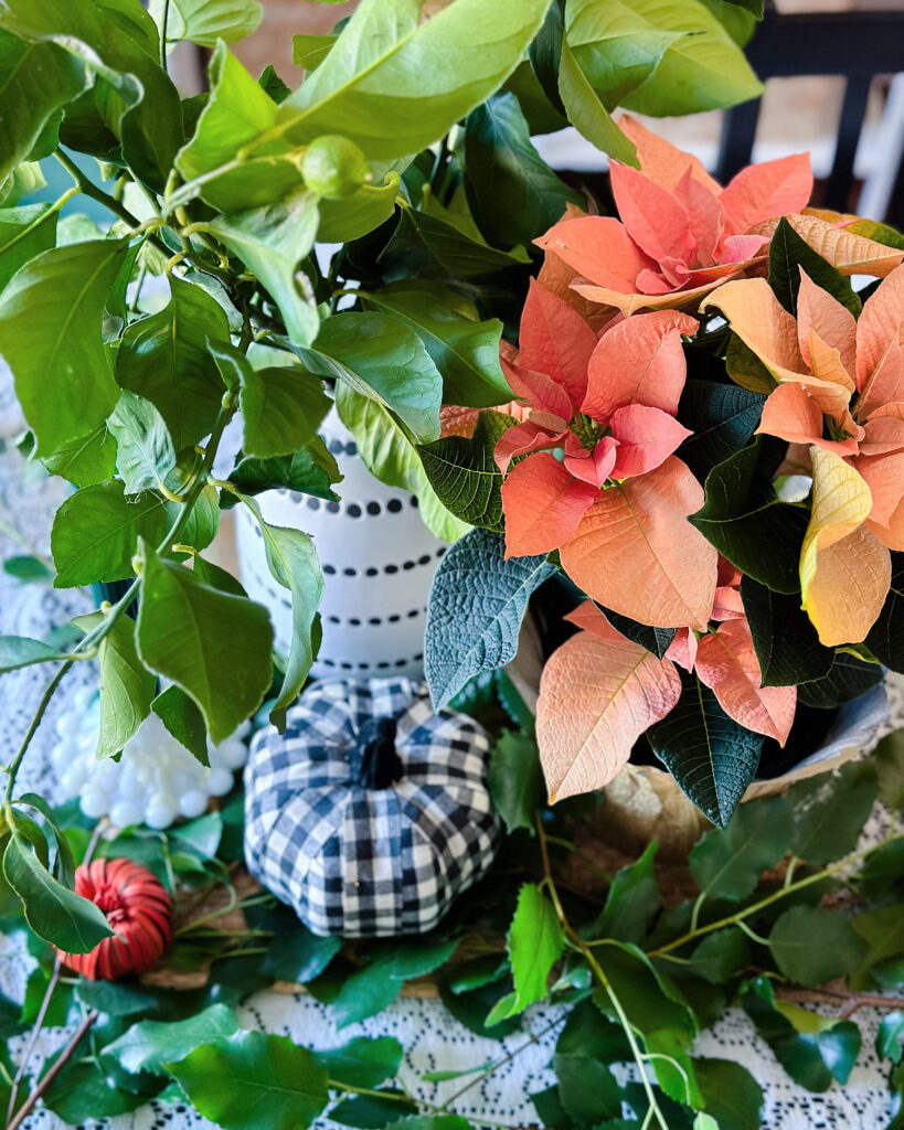 Orange poinsettia, black and white, pumpkin, green leaves, milk, glass, candle holder