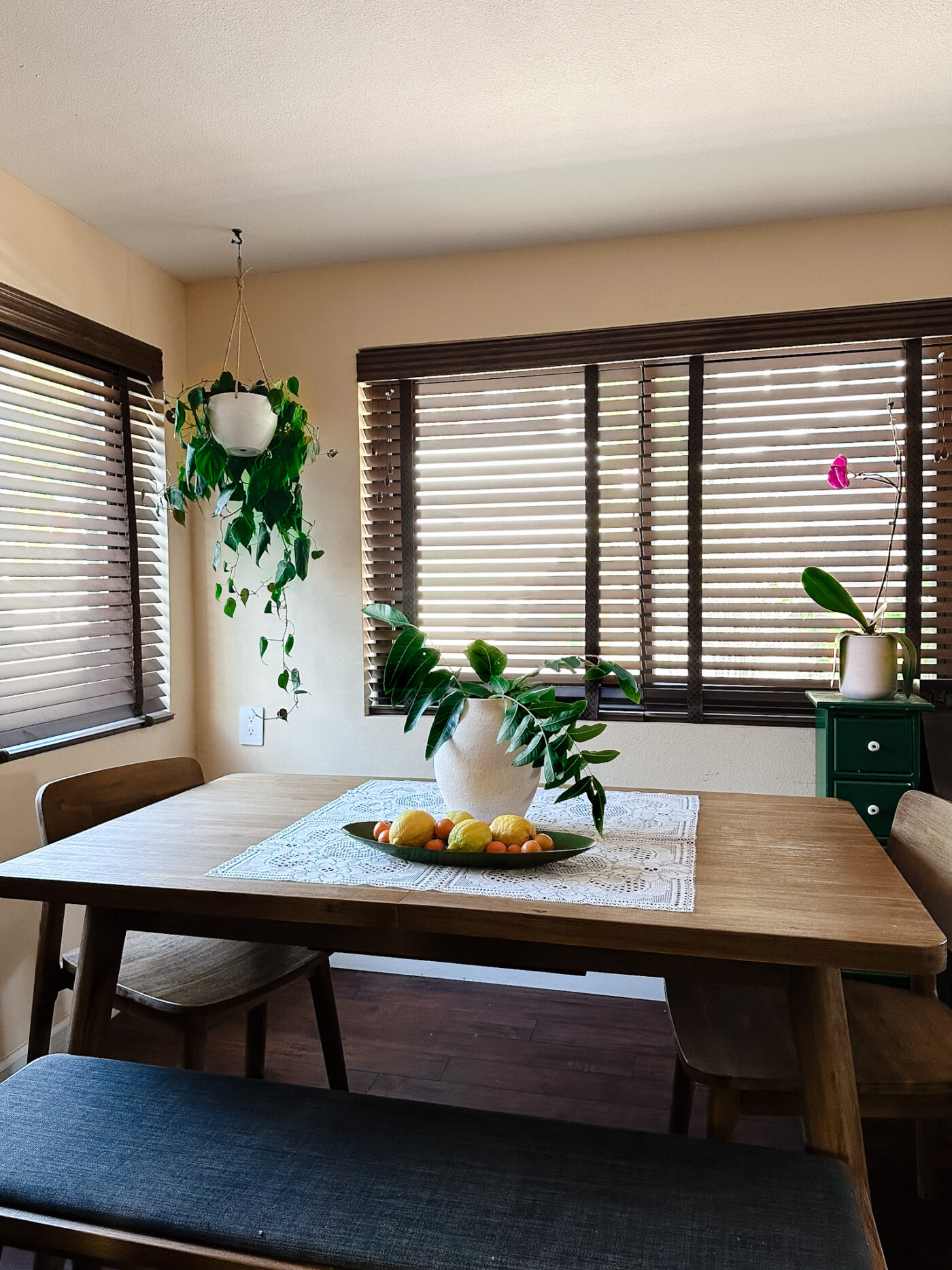 dinign room, light wood table and chairs, lemon in green bowl, hanging plants